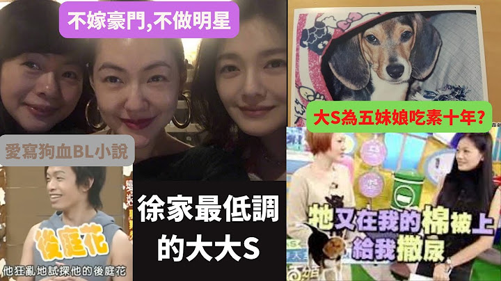 大大S徐熙嫻顏值不輸大小S卻不愛豪門,不當明星但愛寫BL小說.讓大S吃素十年,小S又愛又恨的狗五妹娘