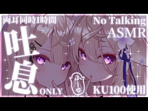 【ASMR/No Talking】両耳ずーっと気持ちいい♡吐息ONLYで安眠ASMR♡【来音こくり/Vtuber】