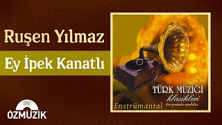 Ruşen Yılmaz - Ey İpek Kanatlı  Resimi