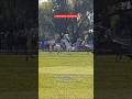 JINETEADA EN LA RINCONERA TIGRE |GRUPA| #caballos #horse