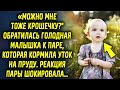 "Можно мне тоже крошечку?" обратилась малышка к паре, которая кормила уток на пруду. Реакция пары…