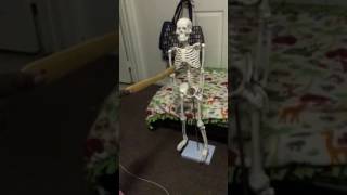 IMG 0872