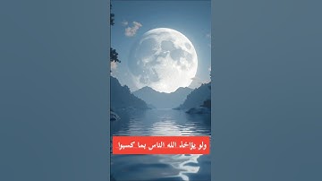 قرآن كريم. أواخر سورة فاطر