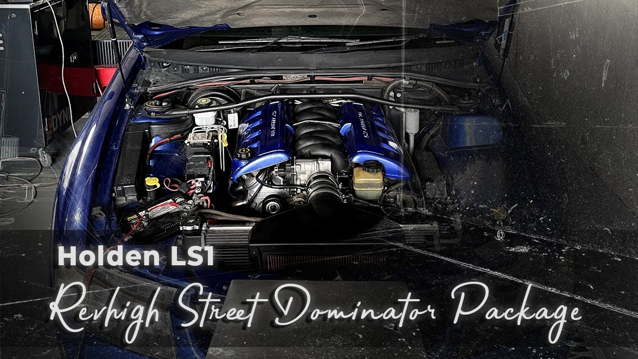 Nice and lumpy! Holden LS1 Street Dominator Cam package! YouTube