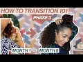 How to Transition to Natural | Phase 3 - New Curls!