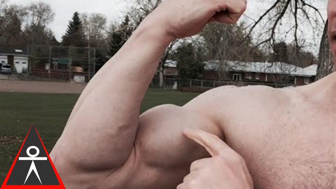 calisthenics workout program for beginners Fixed Straight Bar Body Weight Bicep Curl