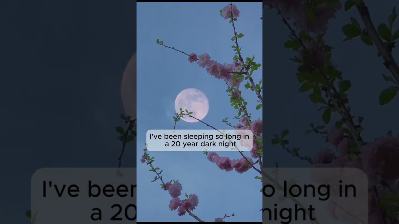 Daylight Full Version 