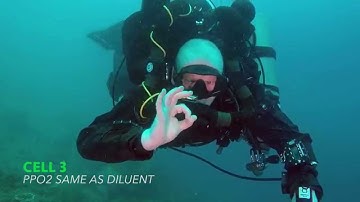 Hammerhead CCR MOD1 Skills - 1 Cell Voted Out (2 Cells Faulty)