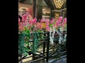 احواض زرع نباتات اصطناعيه شجر زينه نخل صناعي 01153043288 احواض زرع نباتات اصطناعيه شجر زينه نخل صناعي 01153043288