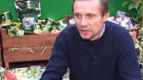 Бывает ли морковь без сердцевины?