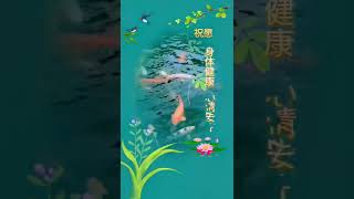 祝愿,身体健康,心情安宁,早安!#shorts #早安 #祝福 #goodmorning 祝愿,身体健康,心情安宁,早安!#shorts #早安 #祝福 #goodmorning