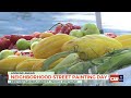 Kenton Farmers Market hosts street painting day