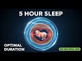 Instant Calm for Baby Sleep | Extended Night | Ether Sleep Lab