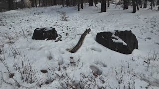 Visitors flock to Mount Laguna as San Diego County mountains see first snowfall of season