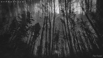 Hypnoxygen  - The Forest (dark ambient,experimental)