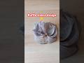 Ruffle sleeve design kaise bnaye #shorts feed #viral shorts