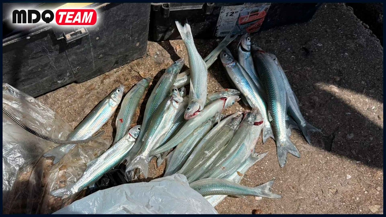 Volvimos a Mar del Plata tras varios meses | Esto es lo que pasó