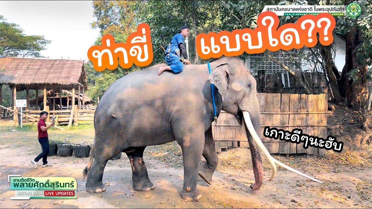 ตามติดชีวิต 