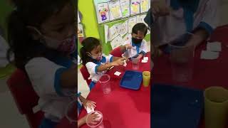Planting Green Bean Seeds PG-K GIS 3 Yogyakarta