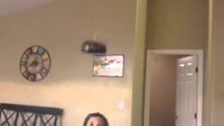 Riley Flying Hover Disc