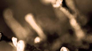 Jorick Bronius - Kailangan Ko Tumae