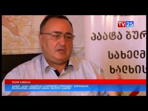 „პაატა ბურჭულაძე-სახელმწიფო ხალხისთვის“  საარჩევნო პროგრამა