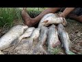 Unbelievable find big fish in secret hole dry season