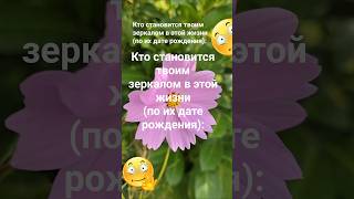Кто становится твоим зеркалом в этой жизни (по их дате рождения) / Эзотерика Знаки Зодиака  999