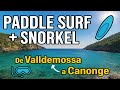🚤 Paddle Surf de Port de Valldemossa a Port des Canonge + Snorkel en Mallorca 🏝️