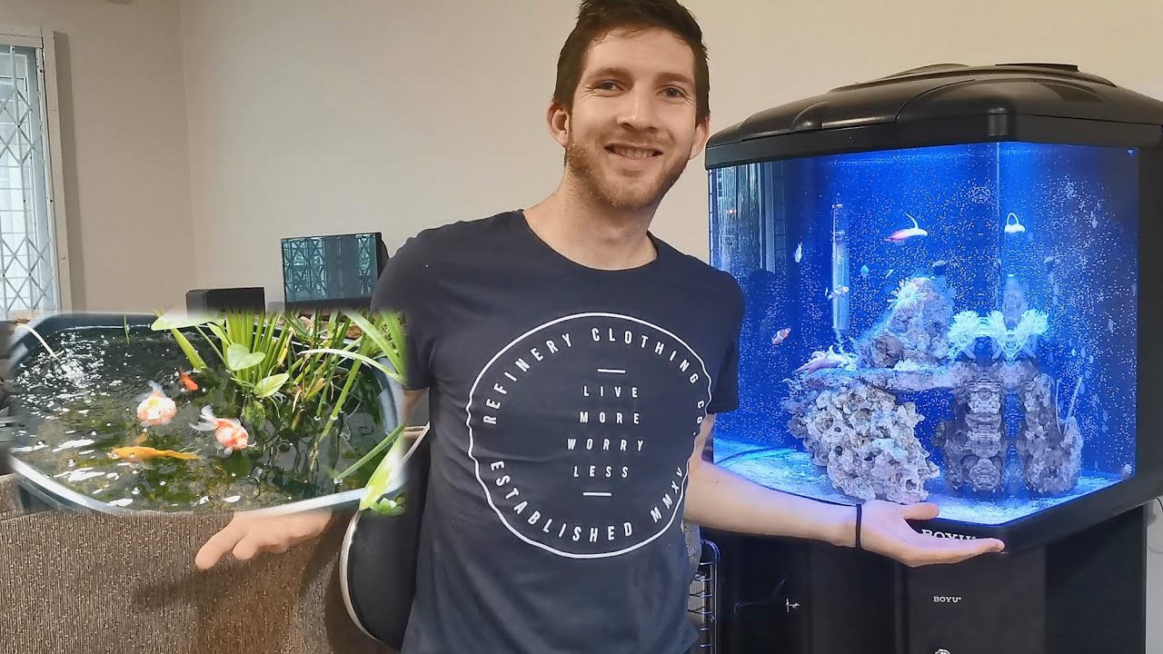 Fish Tank Updates! (Reef Aquarium + Pond)