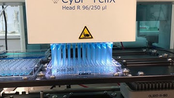 Analytik Jena CyBio Felix Liquid handler Reformatting 96 to 384