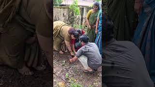 World Environment Day_PMShri Kendriya vidyalaya No.1 palakkad