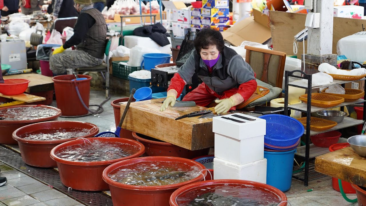 남창시장 - 막 썰어 주는 회 도시락 - 방어,광어,오징어,밀치,장어 - Korean street food, SASHIMI KOREA SEAFOOD MARKET
