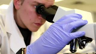 Undergraduate Research at UTC