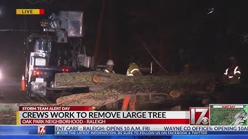 Large tree takes down power lines in Northwest Raleigh neighborhood