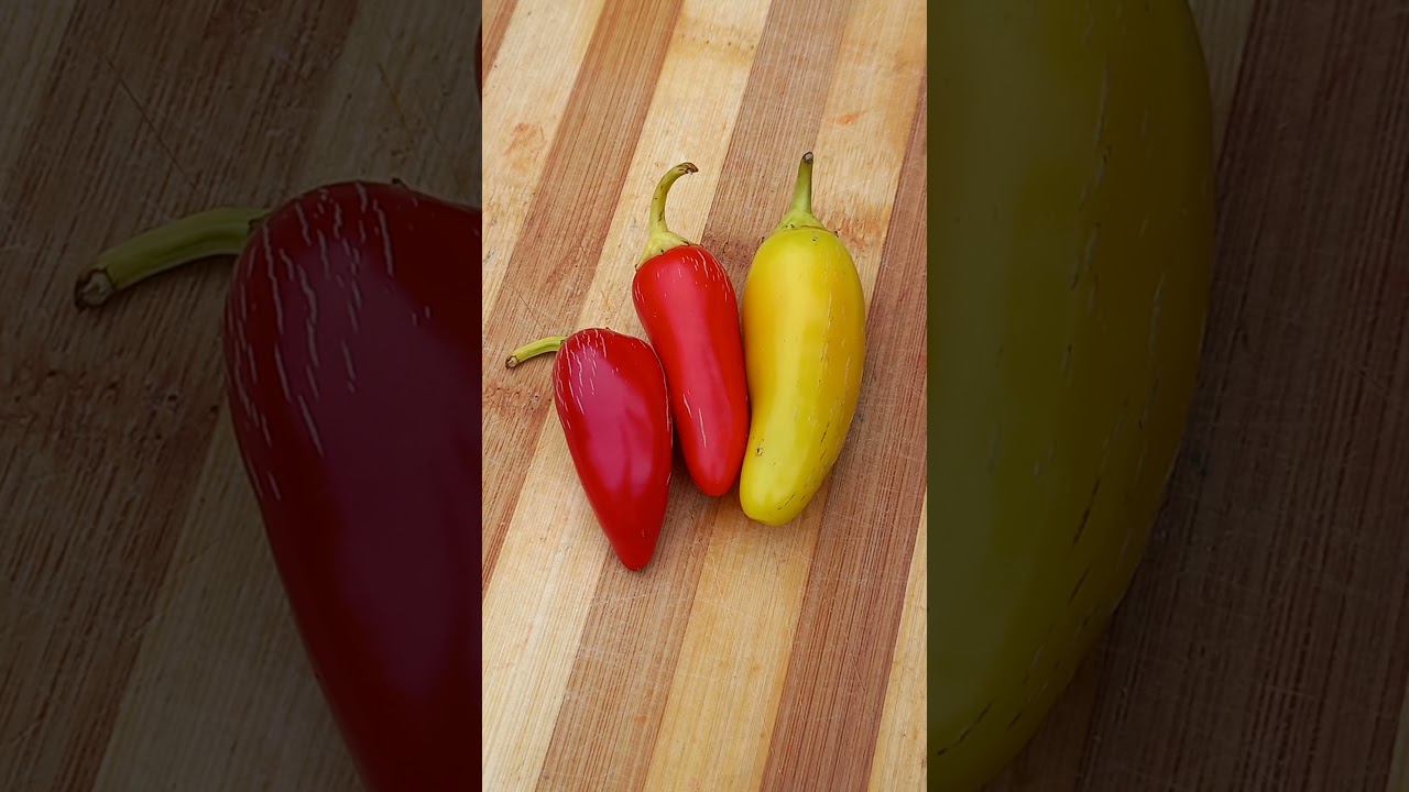 Острый перец Jalapeno NuMex Pinata в разрезе