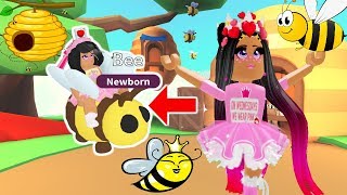 Live Adopt Me Update Countdown New Bee Pet Join - remo roblox challenge