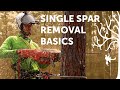 Spar removal basics | SRT tree climbing tutorial | Arborist How-to