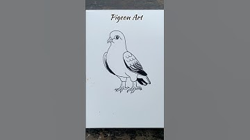 Easy Drawing For Kids Pigeon #easydrawing #kidsdrawing #kids #kidsart #art4kids #drawingforkids