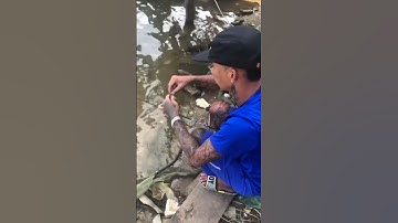 Vissen in brak water is een schot in de roos #nhachaymoingay #muziek #nhacttrutinh #bolero #tintu...