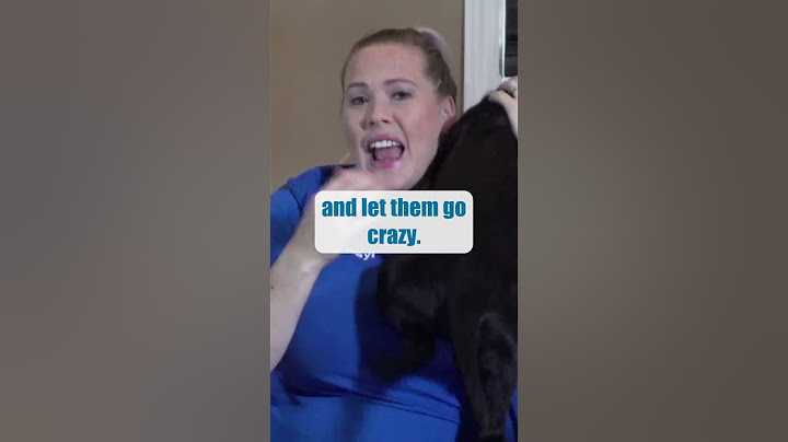 The BIGGEST Puppy Biting Training Mistake