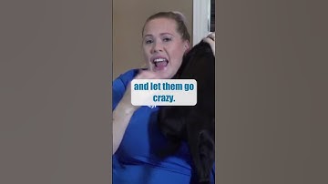 The BIGGEST Puppy Biting Training Mistake