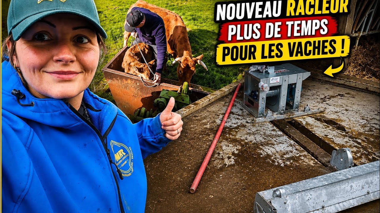 Notre quotidien d'éleveurs : installation du nouveau racleur - YouTube