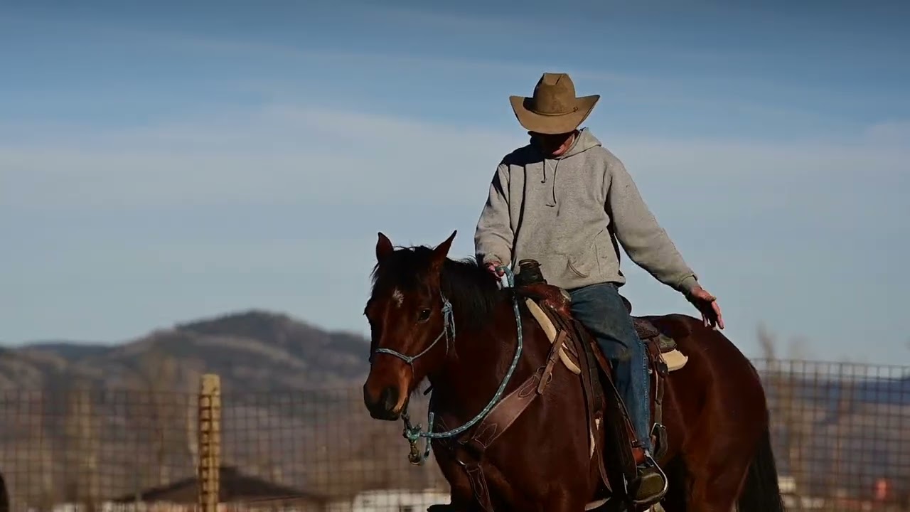 Джорджия болтает без умолку / Что это всё значит? Эпизод 1