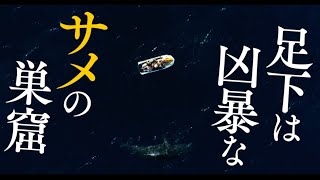 避難所は水上バイク1台(故障中)サメと裏切りのサバイバル／映画『海上48hours ―悪夢のバカンス―』予告編