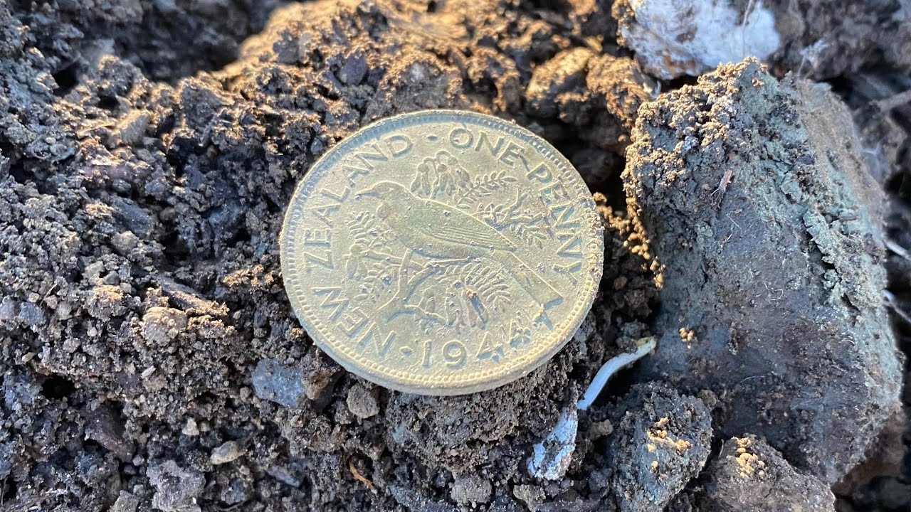 Metal Detecting Nz: Park Hunt with the Equinox 800