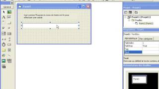 VB 6.0 - Complet pour les Nuls [009- Zone de texte]