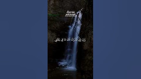 الشيخ ..سعد الغامدي تلاوة من سورة ال عمران 💞