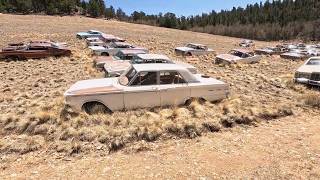 300+ Cars in ABANDONED in the Mountains  | Luxury Cars Left to Rot.