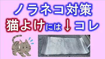 金魚の糞追い払う方法 Mp3